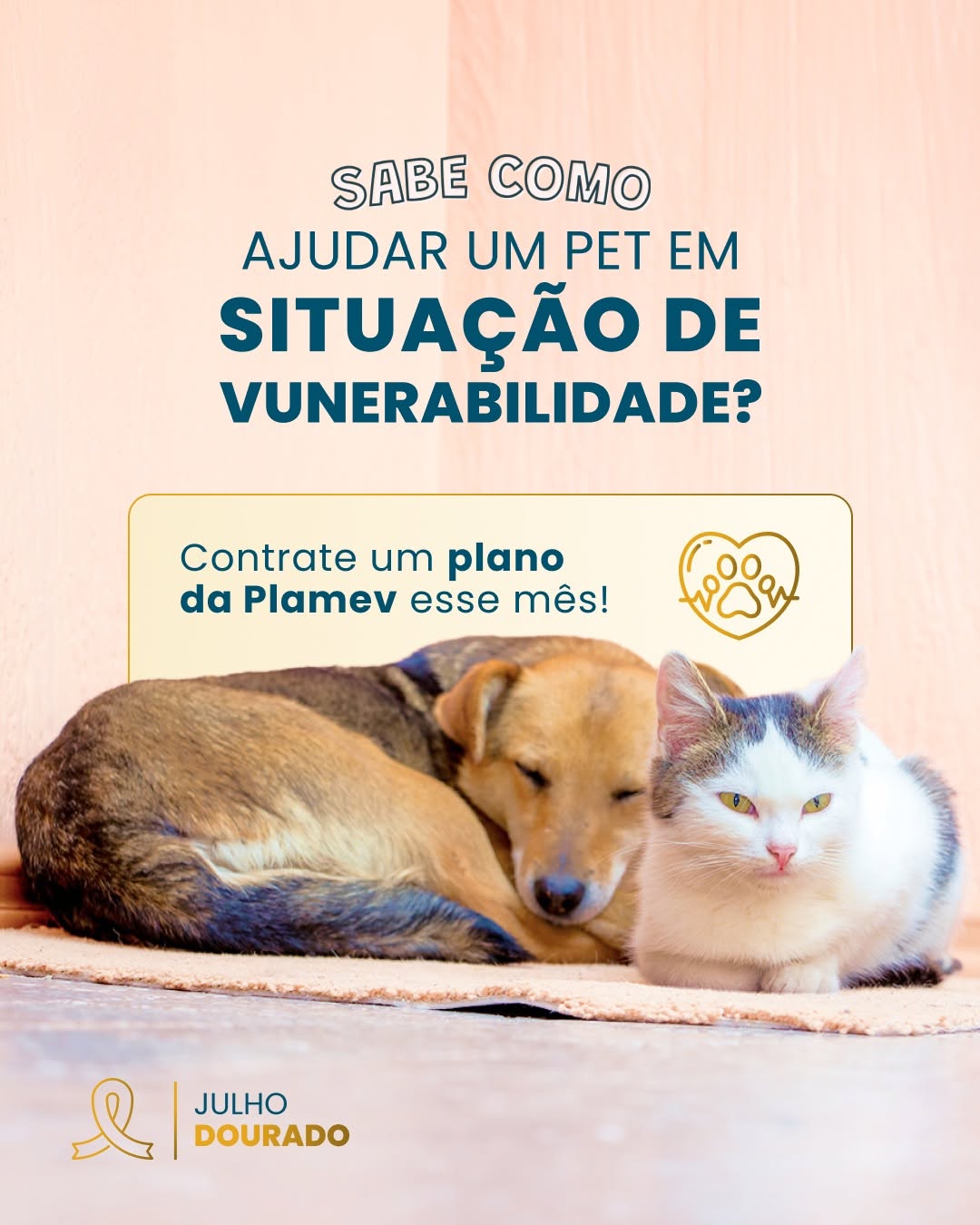 Cuidar de um pet é um ato de amor.