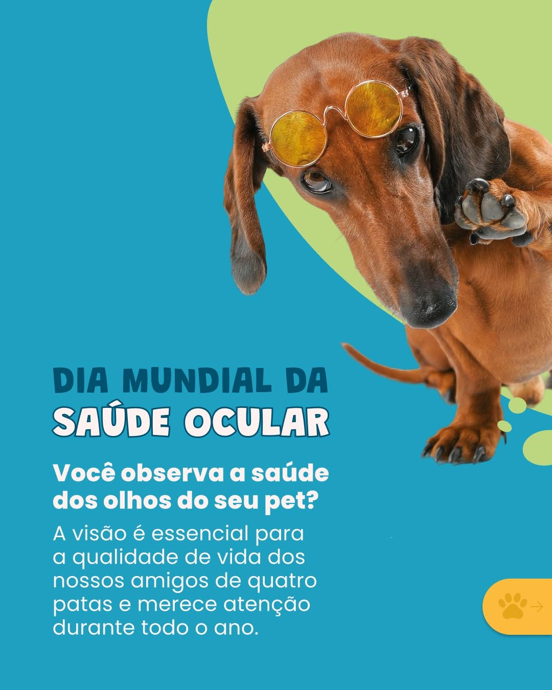 No Dia Mundial da Saúde Ocular, a Plamev quer propor um desafio aos tutores. 👁️🐾