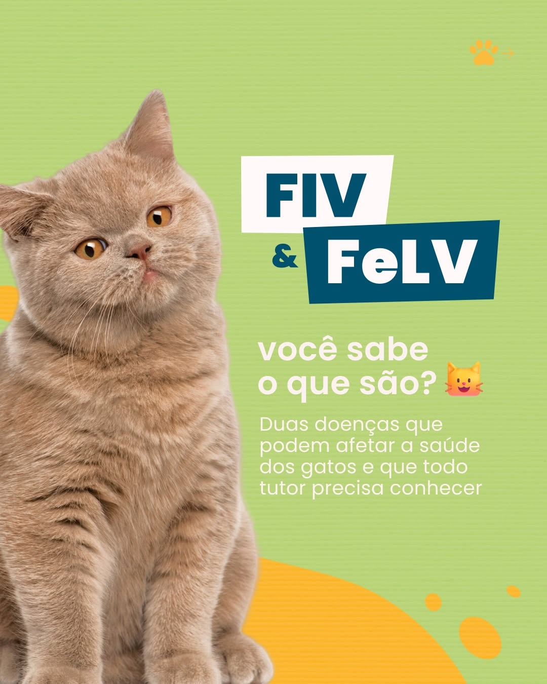 Atenção, tutor! 🚨