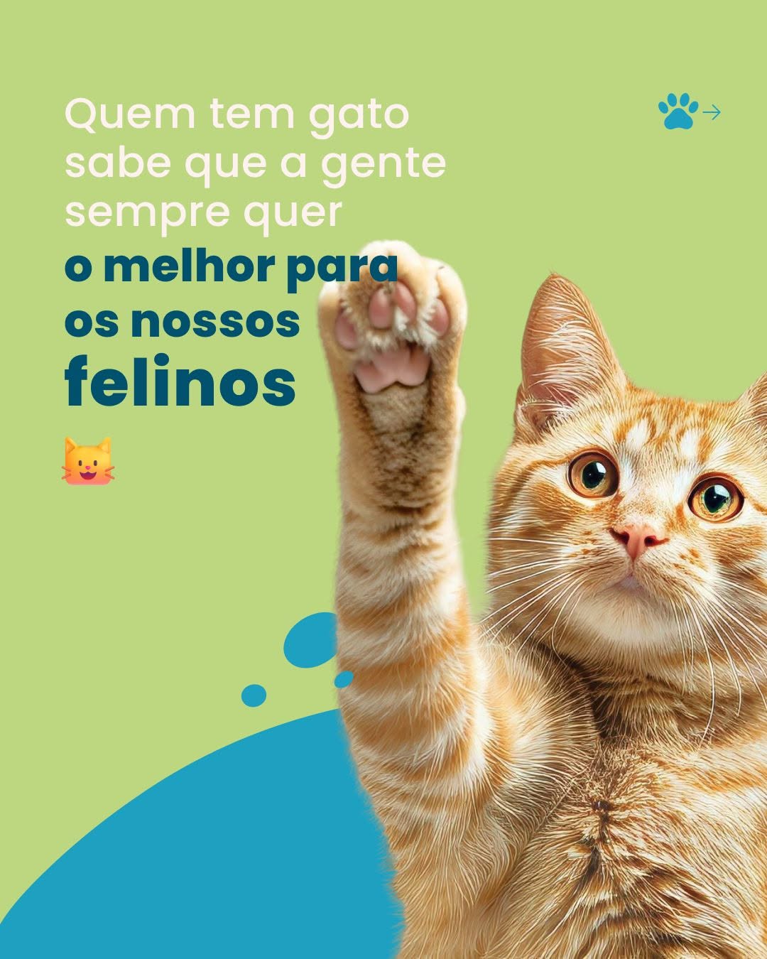 Precisamos falar sobre um assunto sério…