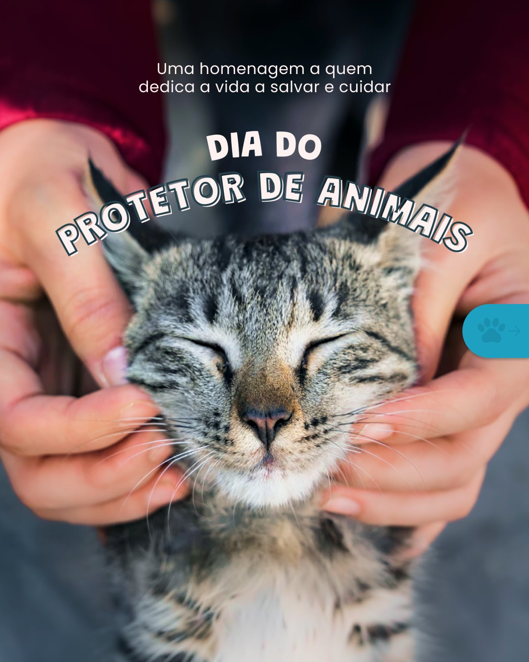 Um dos princípios do cuidado animal é a proteção. 🐶🐱