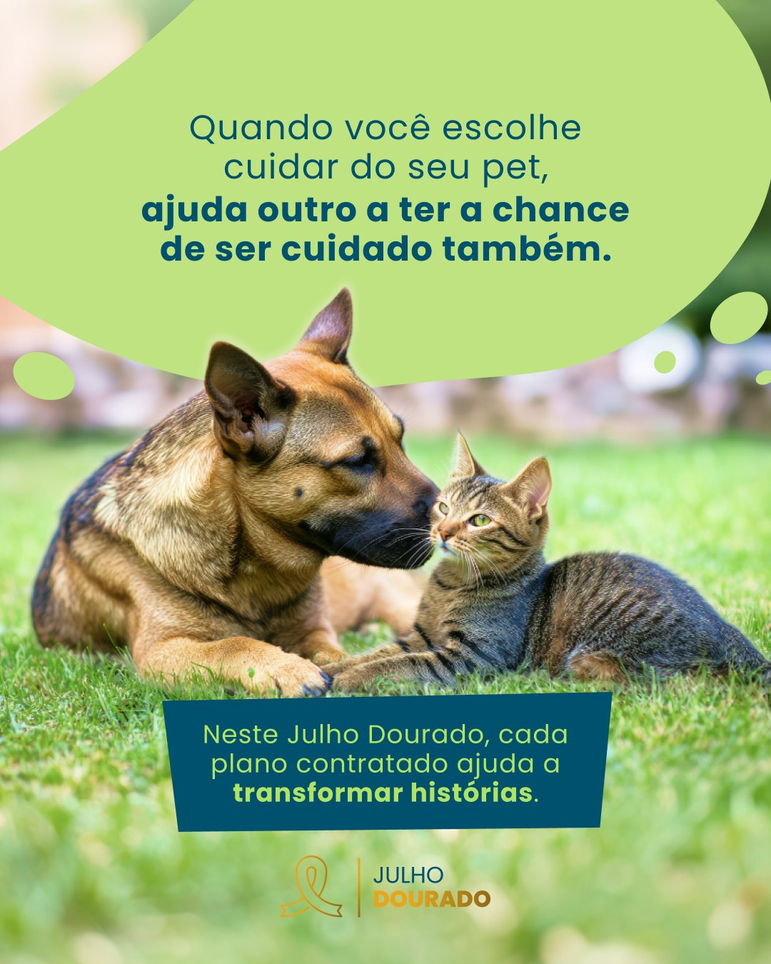 Garantir o bem-estar do pet é a prioridade de qualquer tutor. 🐶🐱