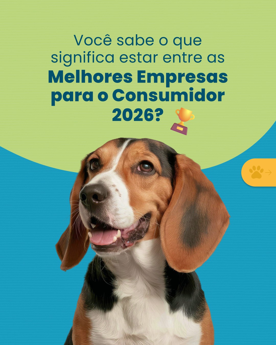 Ainda estamos no meio do ano, mas a Plamev já tem motivos de sobra para celebrar. 🏆