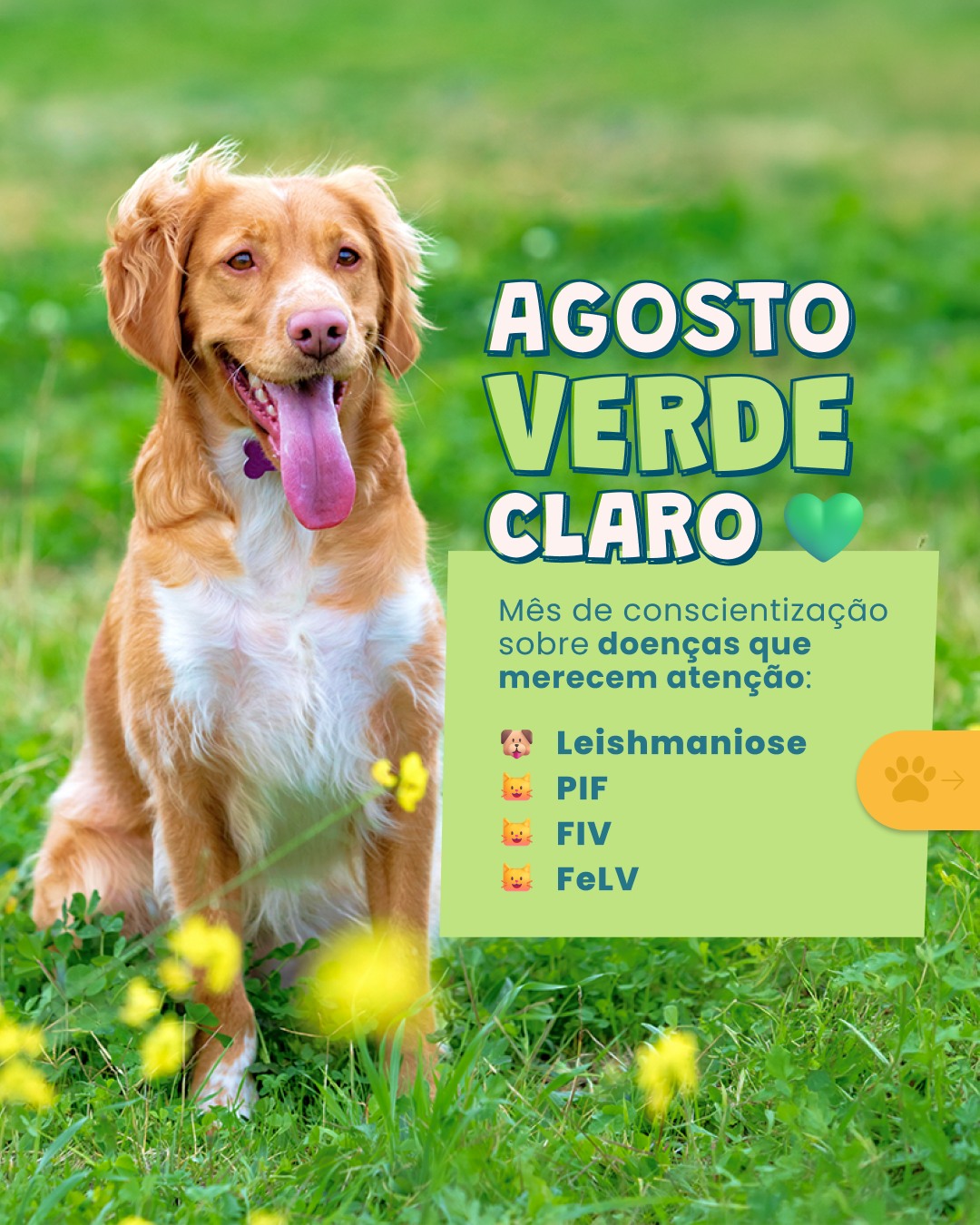 O primeiro sinal de alerta nem sempre é óbvio para o tutor…