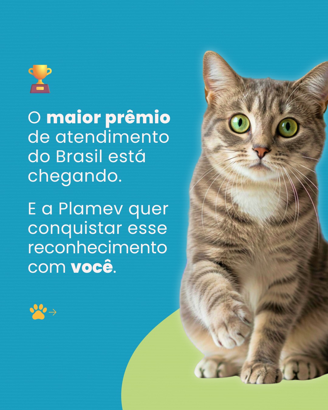 Cuidar de quem você ama é a nossa maior missão. 🐶🐱