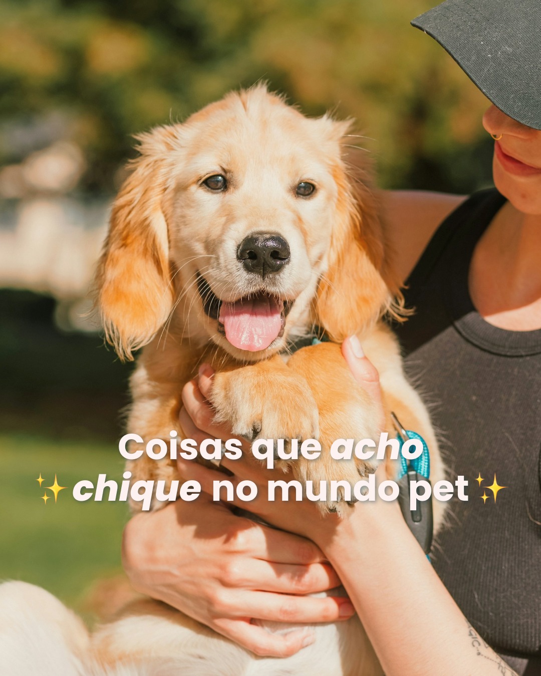 A internet está cheia de “coisa chique” para se inspirar.