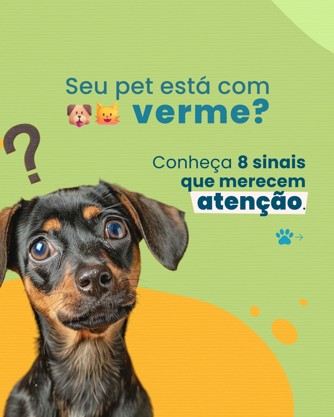 🚨Atenção, tutor!
