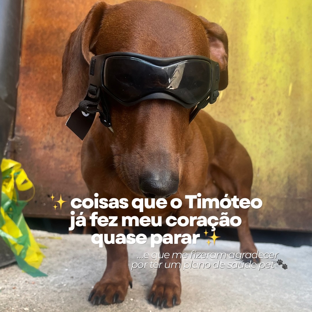 Se tem uma coisa que o Timóteo sabe fazer é me dar um susto 😮‍💨