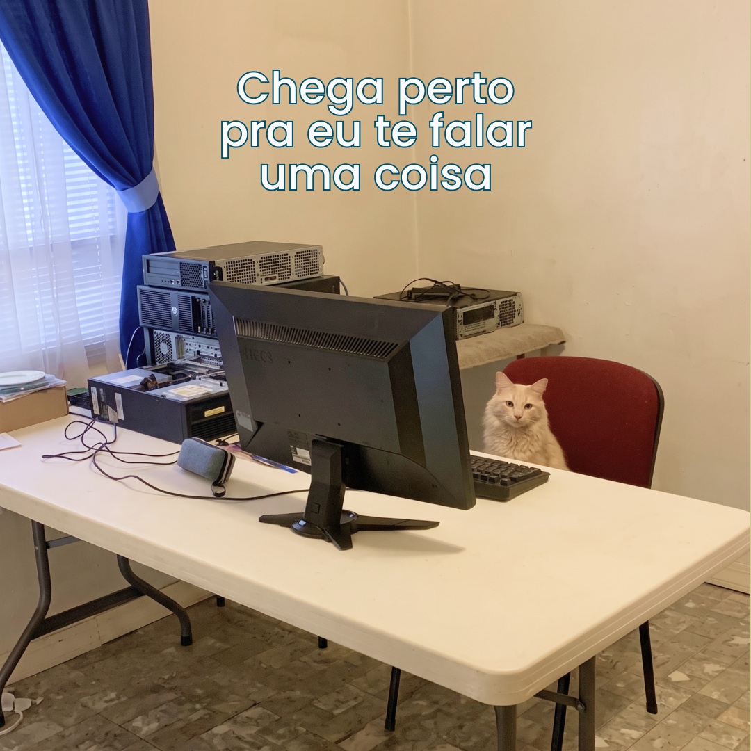 Dizem que quem avisa, amigo é…