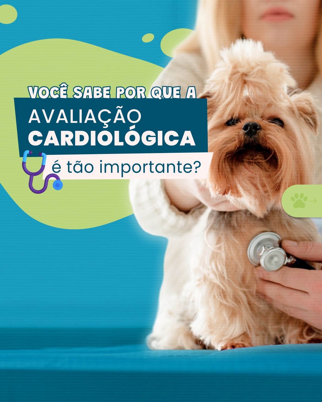 O coração do seu pet trabalha em silêncio.