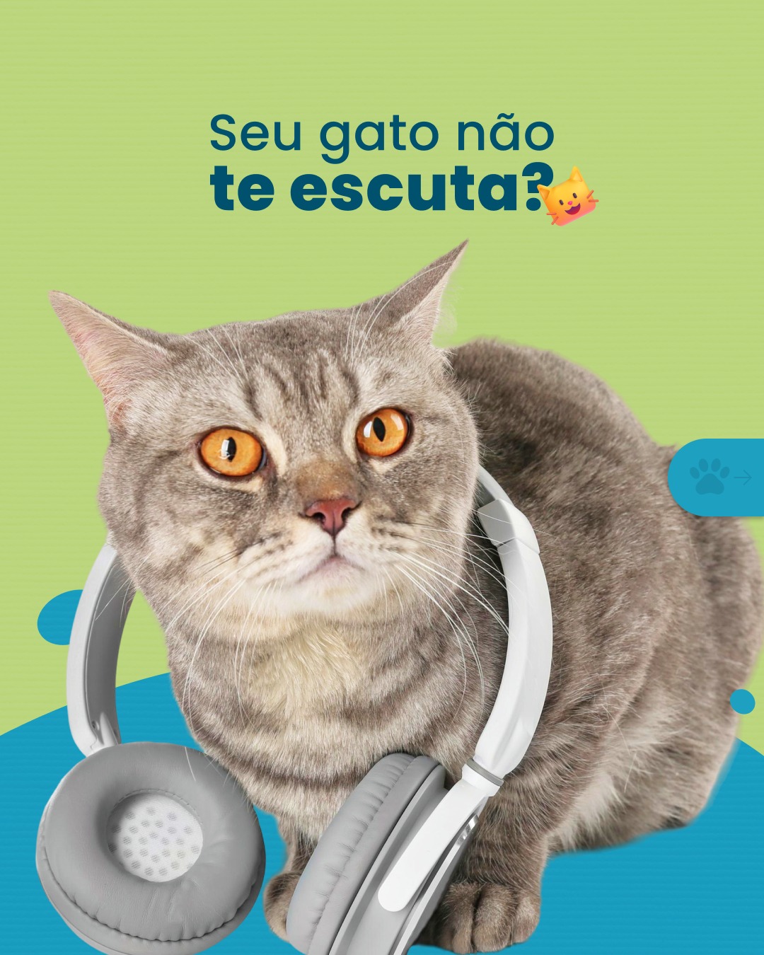 Respire fundo, acalme os ânimos e deixe a bronca de lado…