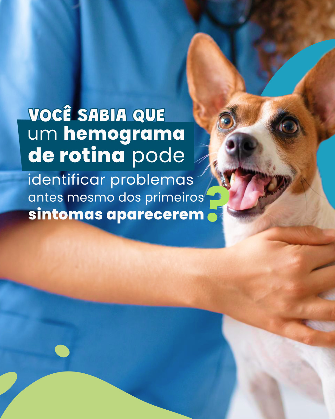 Existe um ditado popular que diz que “quem procura, acha”.