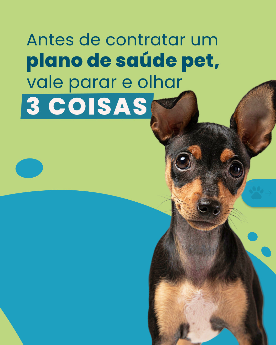 A gente sabe que a rotina com o seu pet é corrida, mas na hora de escolher um plano de saú
