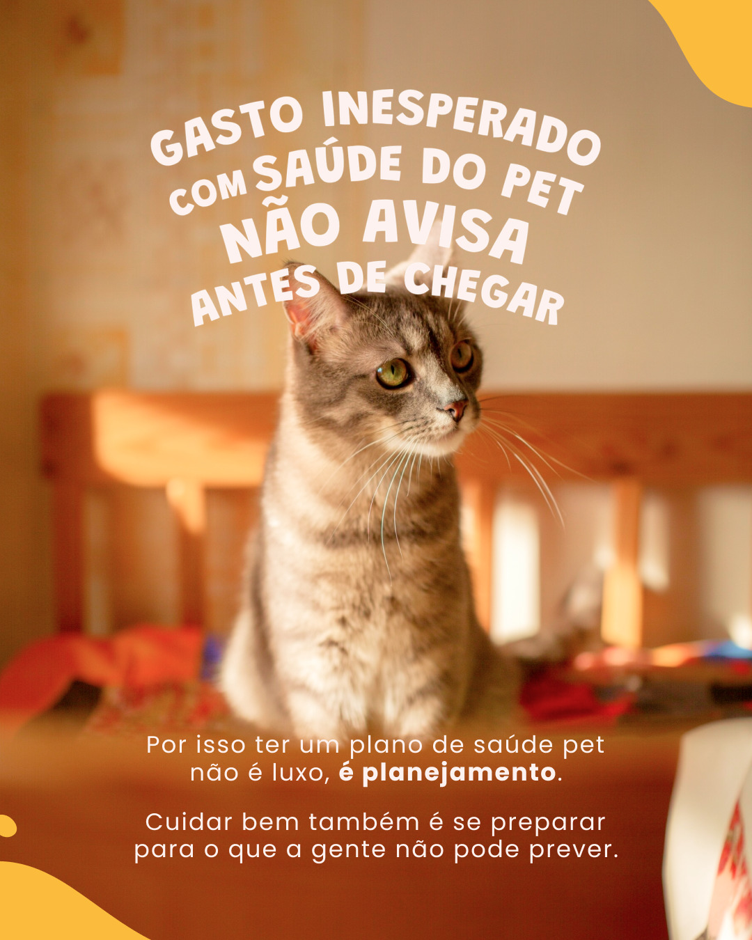 Você consegue prever o futuro? 🔮