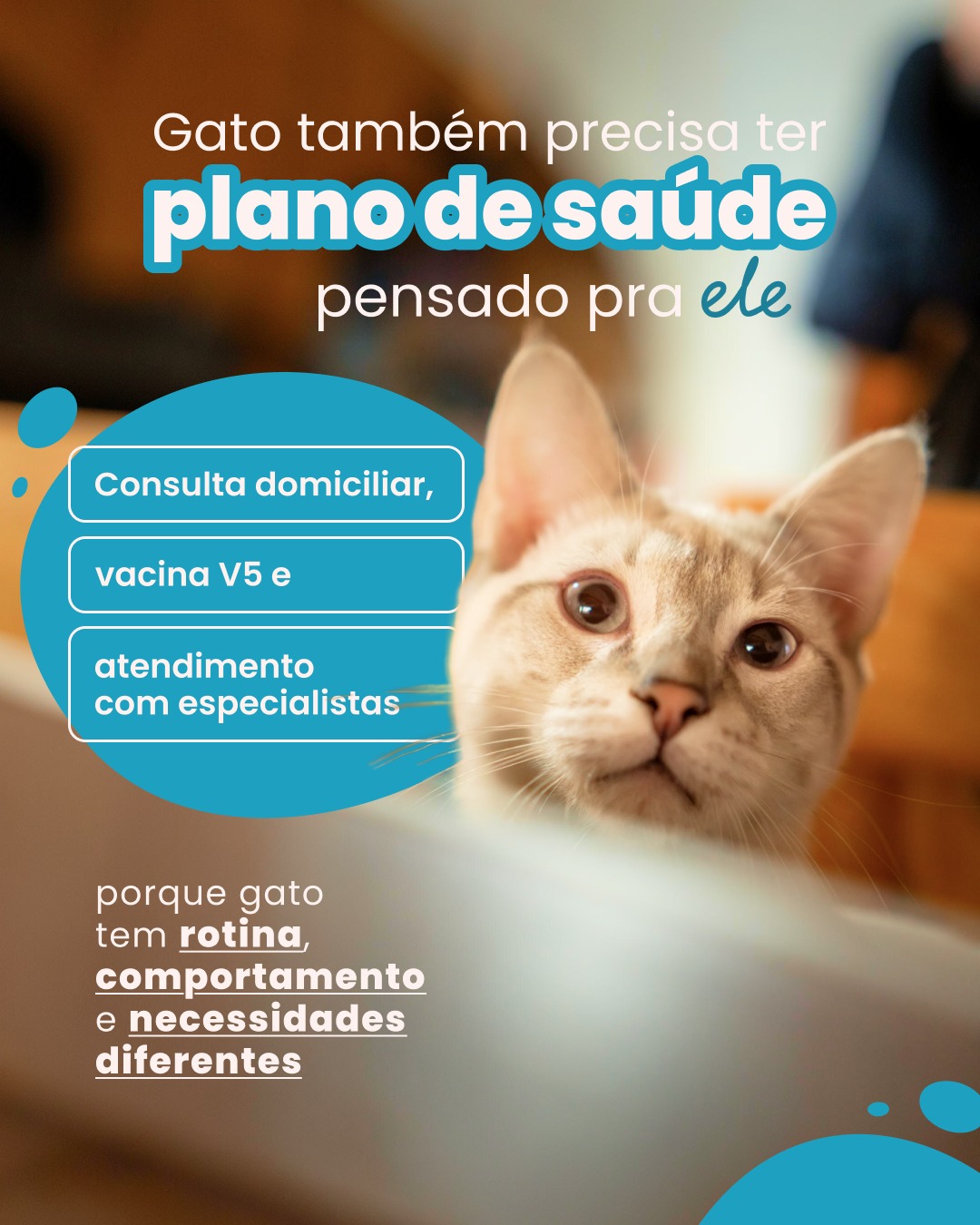 Preciso te fazer uma pergunta!